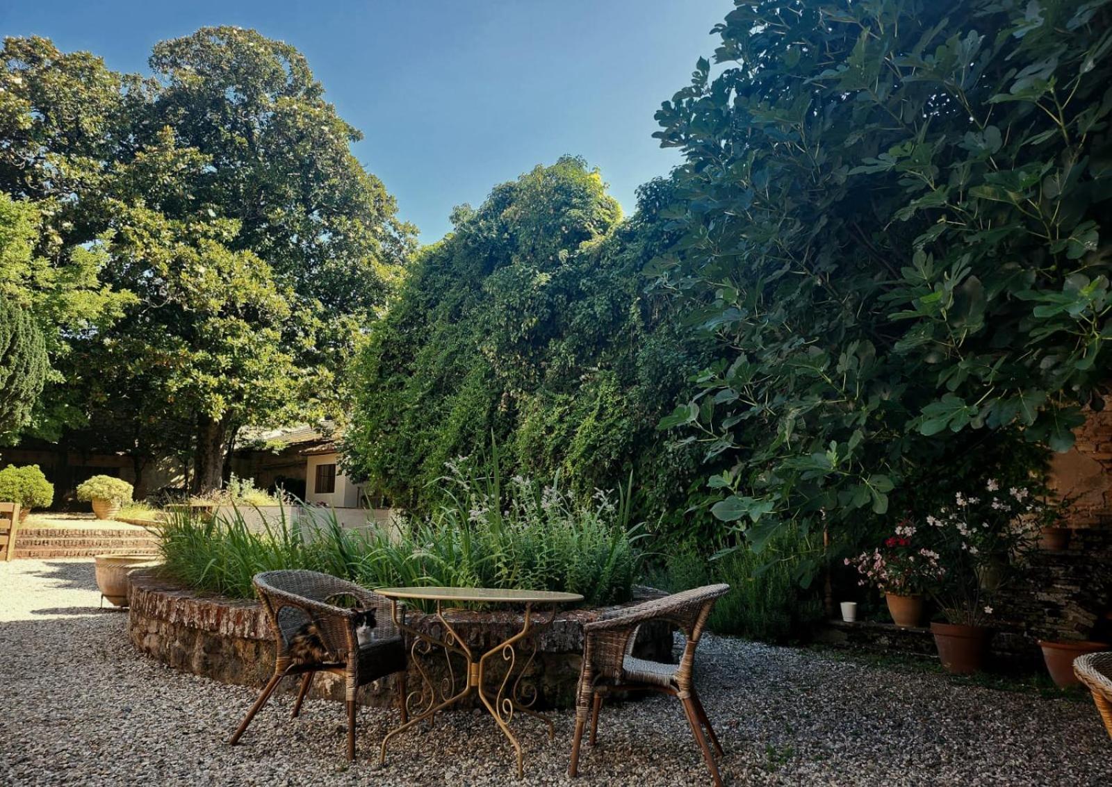 La Cour Verte Gaillac Kültér fotó